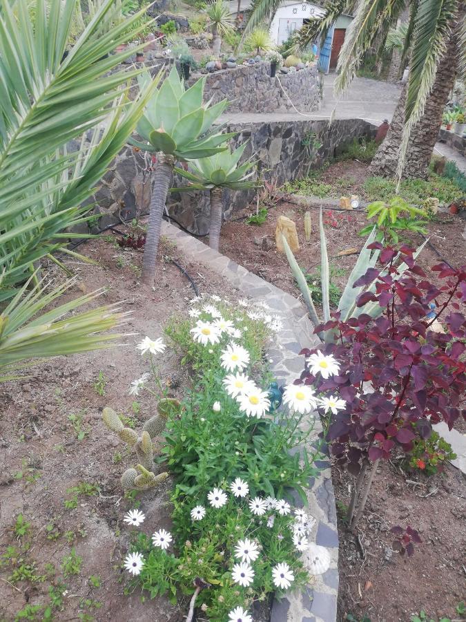 Casa Majores Vallehermoso Kültér fotó