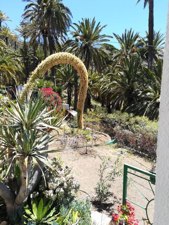 Casa Majores Vallehermoso Kültér fotó